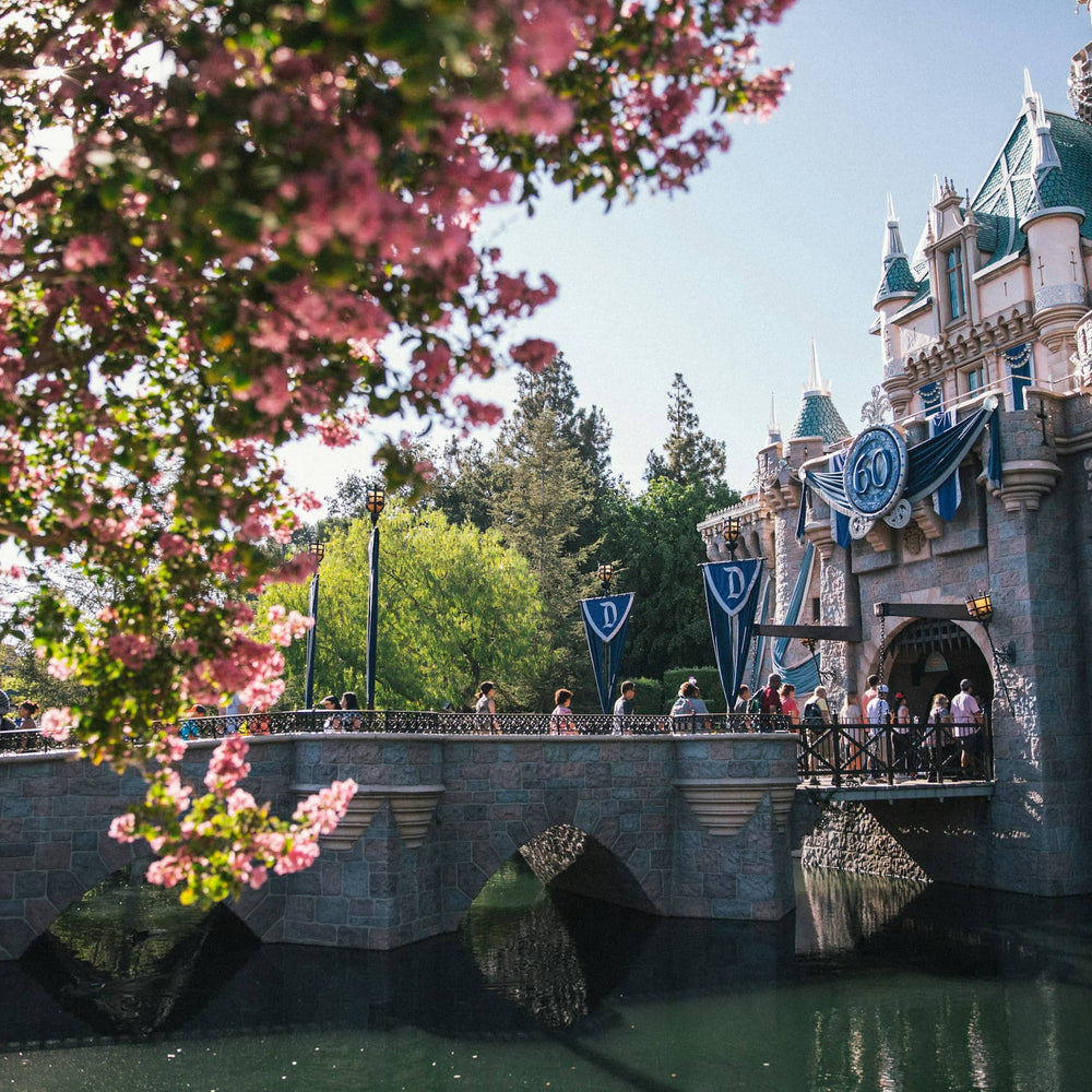 side-of-Disneyland-castle