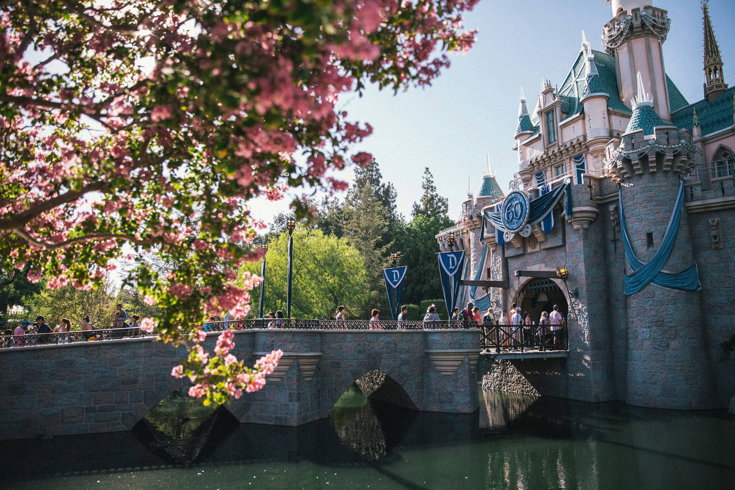 side-of-Disneyland-castle